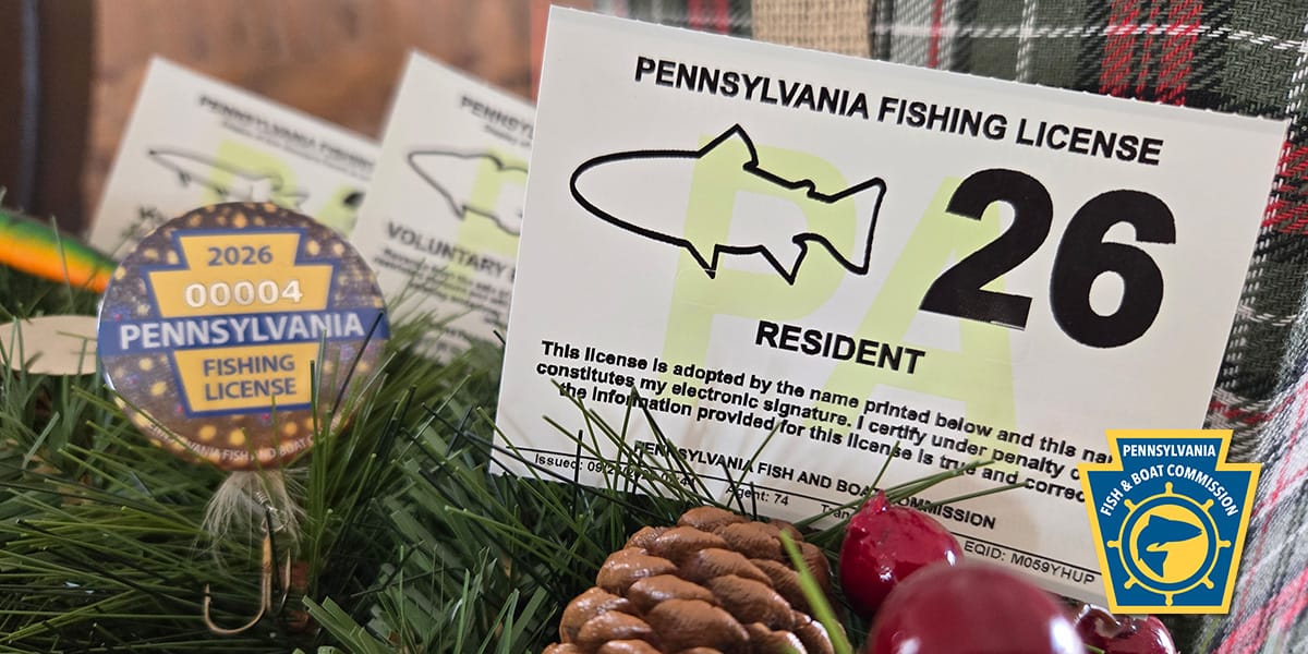 pa trout stocking schedule 2026